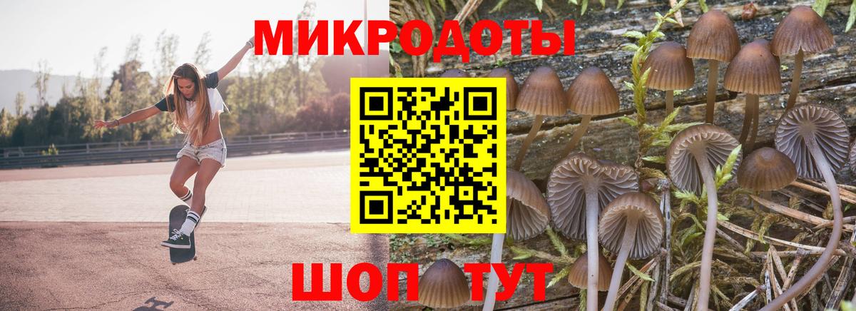 Галлюциногенные грибы ЛСД  Вход с VPN  Узловая  Галлюциногенные грибы GOLDEN TEACHER 